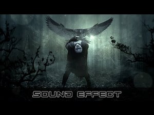 Horror Sound | Evil Woman Laughing Sounds Demon Girl Laugh Sound Effects