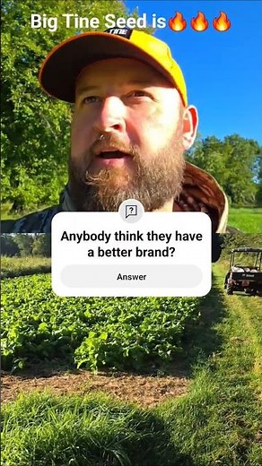 Big Tine food plot is money!