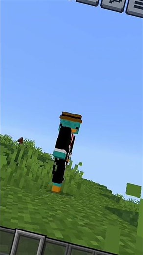 Minecraft's Rarest Naturally Generated Block
