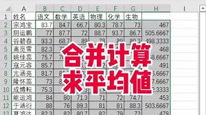 合并计算求平均值#excel技巧 #excel零基础入门教程 #excel合并计算
