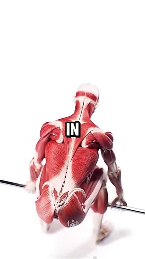 Eat These for 2 Weeks and See the Difference 💪🥚🦪 #fitness