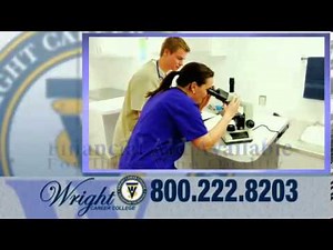 Veterinary Technician Training Program - Wright Career College | WrightCC.edu