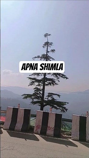 Apna Shimla Vlog | Queen of Hills Shimla Tour | Beautiful Mountain Views | Shimla Travel Reel 2025 |