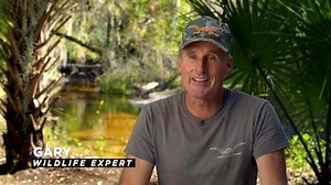 Watch Guardians of the Glades Season 2 Episode 5 - Killers Down South