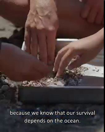 12M views · 10K reactions | Through Rolex’s Perpetual Planet...