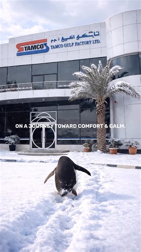 Tamco Gulf on Instagram: "On a journey towards comfort and calm.🌿 Experience quiet living with TAMCO Windows & Doors. ✔️ Excellent thermal installation ✔️ Excellent sound insulation ✔️ Designed for water tightness & weather impact ✔️ Engineered for comfort and coziness *This video is AI-generated for creative advertising purposes only."