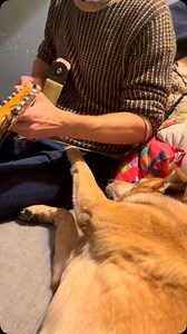 Practicing with Bee | Maps & Atlases