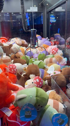 Playing claw machine at Circus Circus ￼