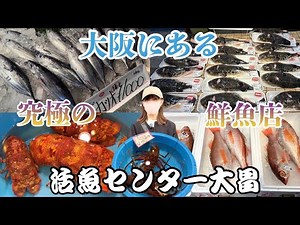 [The Ultimate Fish Market] A parade of top-quality fresh fish. The best fish shop in the city: [K...