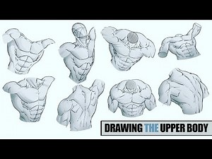 Drawing the Upper Body of the Male Character