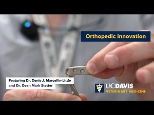 Advanced Veterinary Surgery Center