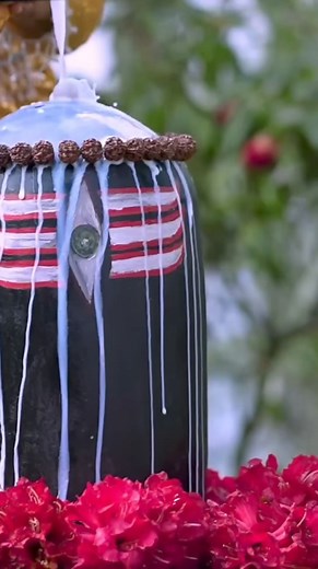 27K views · 736 reactions | Nepali Teli Serial Nagin #Buhari #nepaliserial #teliserial #serial | Bhuban Kc | Facebook