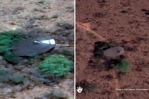 ‘Disk-shaped alien aircraft’ spotted just miles from ‘Cradle of Humankind’