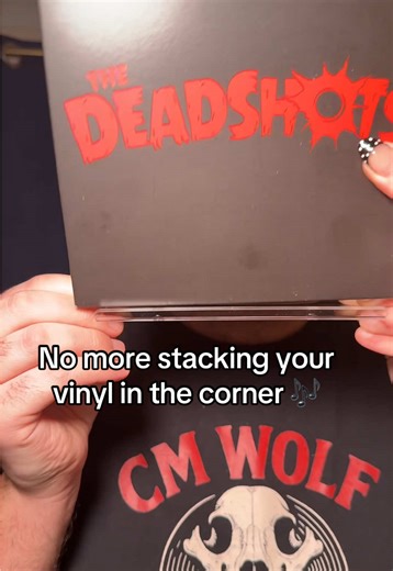 Organize Your Vinyl Collection with Style