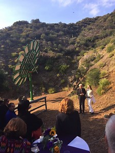 James Cameron Designs Solar Sunflowers #SolarPower