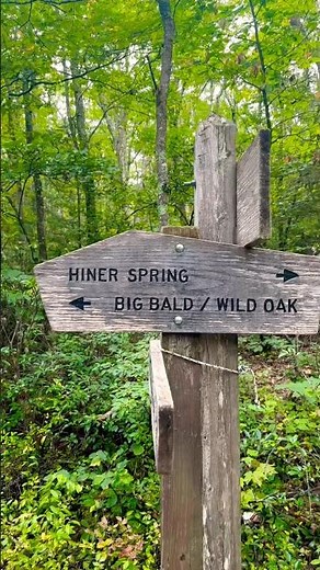Somewhere on the Camp Todd Trail 🥾#hiking #naturelovers #nature #wildlife