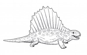A hand drawing of dinosaur on white background - dimetrodon