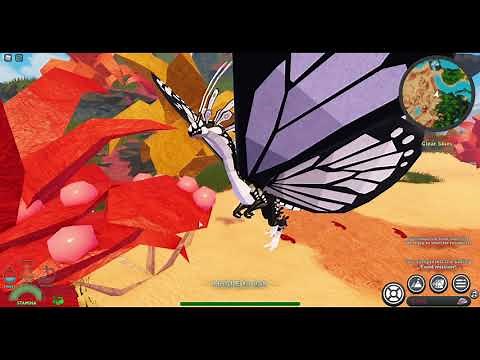 GLIMMER FEATURE!!!, What it is, and how to get it!