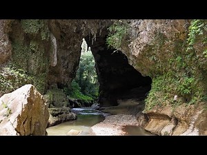 Cueva del Arco | Utuado, Puerto Rico 🇵🇷 Travel Guide