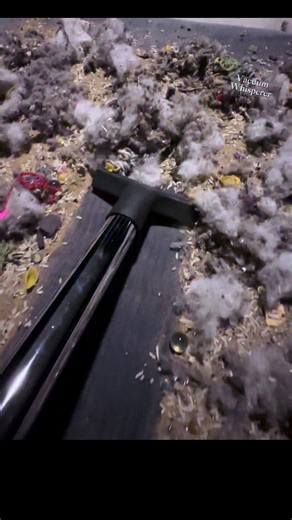 Transforming a Filthy Mess into Cleanliness