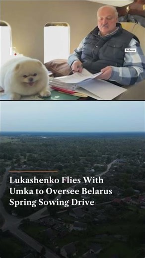 Lukashenko Flies With Umka to Oversee Belarus Spring Sowing Drive | Subscribe to Firstpost