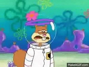Spongebob Prehibernation Week Full Episode on Make a GIF