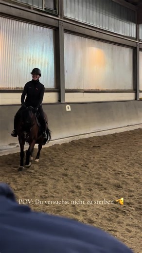 Pferdeverständnis: Liebe trotz Streitereien