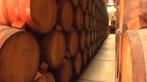 40K views · 350 reactions | ¿conoces el proceso de elaboración del Tequila? Aquí te presentamos un vídeo para que lo conozcas mejor, estas son las etapas que transforman al Agave Tequilana weber en Tequila y está señalado en su Norma NOM-006-SCFI-2012. compártelo con un amigo que sepas sea amante del #Tequila | Consejo Regulador del Tequila A.C. | Facebook
