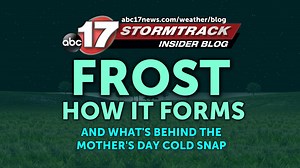 Frost explained: And what's behind the near-record-breaking cold snap