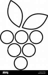 fresh grapes fruits icon Stock Vector Image & Art - Alamy