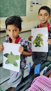 Class IIIA EVS Getting to know Plants Activity from New NCERT Book