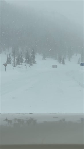 536K views · 11K reactions | WOULD YOU DRIVE THIS HIGHWAY? Wolf Creek Pass  Pagosa Springs Colorado  | High Altitude Pagosa | Facebook