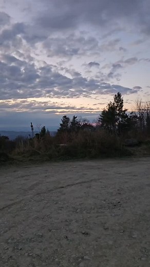 Some staff fun! #mannequinchallenge | Absolute Arts Dance Company