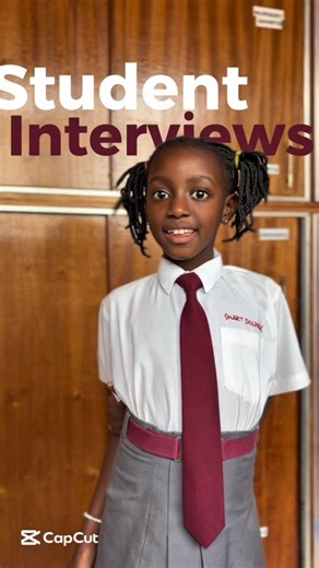 Engaging Student Interviews at Smart Dolphins