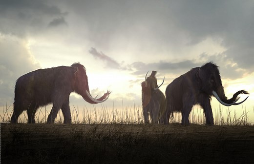 ‘De-Extinction’ Is a Bad Idea Because We Can’t Even Take Care of What We’ve Got