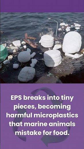 Styrofoam Dangers Explained | Why It’s Time to Recycle Smart ♻️