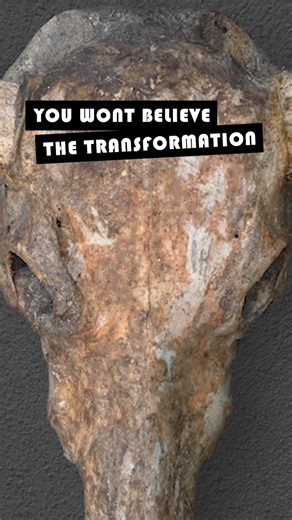 Revealing the secrets to perfecting each skull carving 🖤 #skullbliss #skullart #decorinspo #viral #skulldecor | Skull Bliss