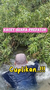 4.7M views · 42K reactions | Luar biasa perjuangan pasang tajur #fishing #fish #nature #wild #fisherman #trend #foryou #traditional #predator | Syafrizal Creator | Facebook