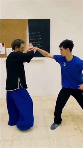 DEFENDERSE Y ATACAR CON BAJIQUAN