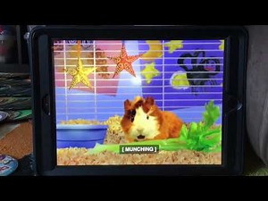 Wonder Pets Save The Owl