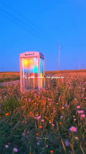 Me Gustas Tu - Manu Chao | aesthetic | lyrics | sped up | #manuchao ✨💫