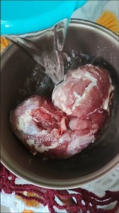 Defrost Meat in 15 Minutes. it works!