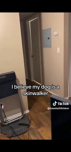 Skinwalkers Caught on Camera | Part 2 | #skinwalker #skinwalkervibes #disguised #duisguising #creepy #horror #horrortok #horrortiktok #mystery #mysteries #creepyvideos #rake #scary #wendigo #spookytok #mimic