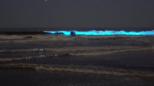 Bioluminescence Beach in California 😮😮 Click here to watch more exciting videos here and Subscribe this channel.. https://youtu.be/8jzGROw_MwY | Mani Rahman