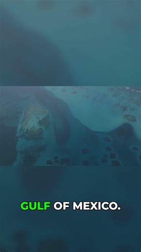 Crossing the Ocean on a Bridge and It's Insane #FloridaKeys #Travel #Shorts