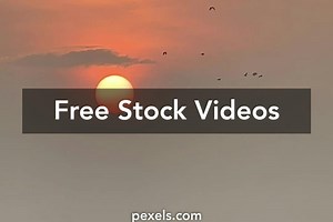 Birds In Sky Videos, Download The BEST Free 4k Stock Video Footage & Birds In Sky HD Video Clips