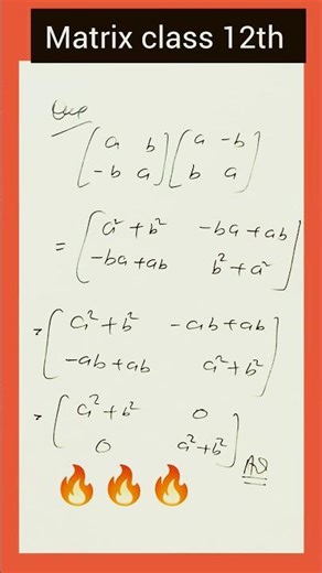 🎯🎯🎯Matrix class 12th 🔥🔥🔥🔥