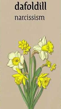 the Victorian language of flowers #history #victorianengland #shorts