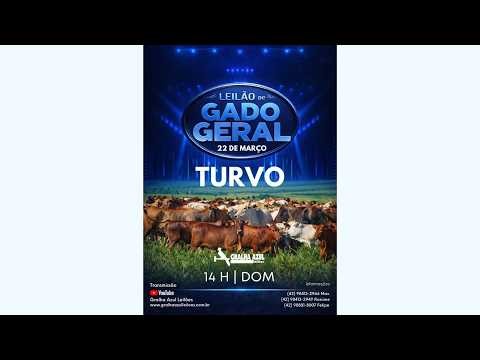 LEILÃO AO VIVO - TURVO - 15:00H