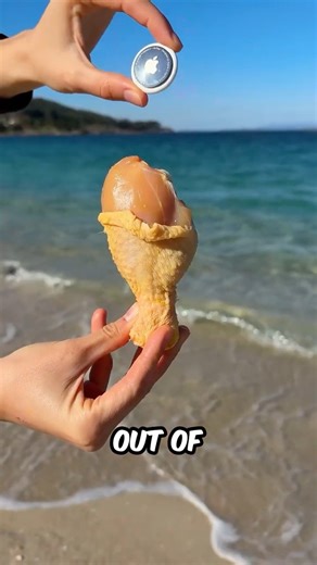 She put a GPS tracker in a chicken leg and threw it into the ocean. 😳🍗